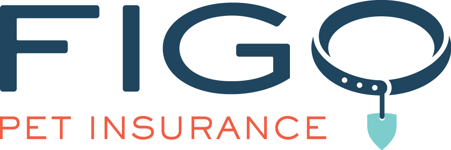 figo logo - pet insurance coverage provider brandon vermont